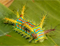 [ẢNH] Chiêm ngưỡng 