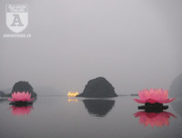 [Ảnh] Chùa Tam Chúc lung linh trước ngày khai mạc Đại lễ Phật đản Liên Hợp Quốc - Vesak 2019