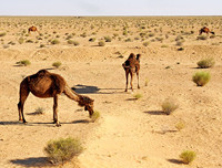 [ẢNH] Khám phá những vùng đất có nhiệt độ 