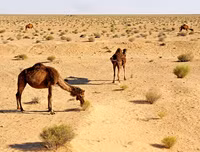 [ẢNH] Khám phá những vùng đất có nhiệt độ 