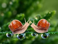 [ẢNH] Khám phá những 