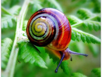 [ẢNH] Khám phá những 