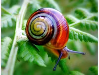 [ẢNH] Khám phá những 