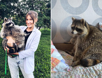 [ẢNH] Những thú cưng 