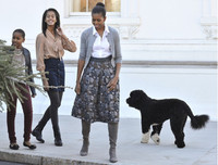 [ẢNH] Những thú cưng 