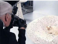 [ẢNH] Những thú cưng 