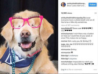 [ẢNH] Những thú cưng 