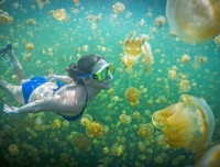 [ẢNH] Thánh địa nơi động vật chính là 