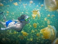 [ẢNH] Thánh địa nơi động vật chính là 