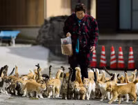 [ẢNH] Thánh địa nơi động vật chính là 