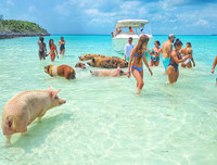 [ẢNH] Thánh địa nơi động vật chính là 