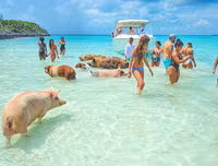 [ẢNH] Thánh địa nơi động vật chính là 