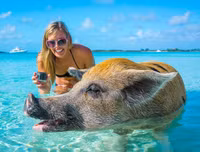 [ẢNH] Thánh địa nơi động vật chính là 