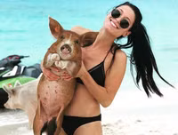 [ẢNH] Thánh địa nơi động vật chính là 