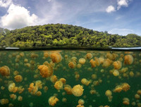 [ẢNH] Thánh địa nơi động vật chính là 