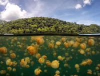 [ẢNH] Thánh địa nơi động vật chính là 