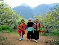 [ẢNH] 9 địa điểm du lịch ở Mộc Châu 