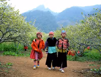 [ẢNH] 9 địa điểm du lịch ở Mộc Châu 