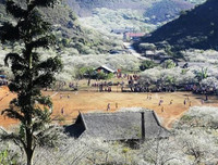 [ẢNH] 9 địa điểm du lịch ở Mộc Châu 