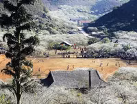 [ẢNH] 9 địa điểm du lịch ở Mộc Châu 