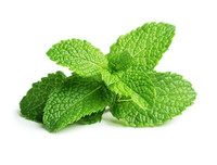 [ẢNH] 12 ‘siêu’ thực phẩm giúp nuôi dưỡng hệ tiêu hóa khỏe mạnh