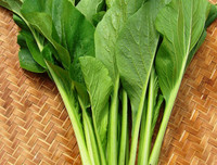 [ẢNH] Những thực phẩm 