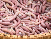 [ẢNH] 6 món đặc sản biển gây ấn tượng bởi vẻ ngoài 