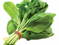 [ẢNH] Những loại thực phẩm giúp tăng cường hệ miễn dịch