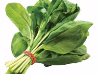 [ẢNH] Những loại thực phẩm giúp tăng cường hệ miễn dịch
