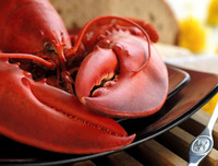 [ẢNH] Những món hải sản 