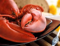 [ẢNH] Những món hải sản 