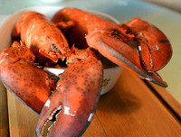 [ẢNH] Những món hải sản 