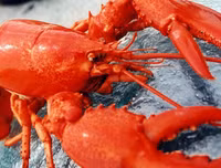 [ẢNH] Những món hải sản 