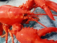 [ẢNH] Những món hải sản 