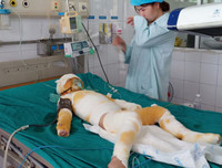 [ẢNH] Các cách dập lửa do chập điện, dập cháy do xăng không phải ai cũng biết