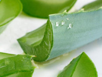 Cách trị mụn trứng cá hiệu quả đơn giản tại nhà