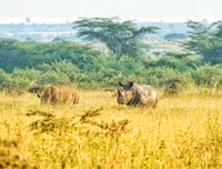[ẢNH] Mãn nhãn bộ ảnh 1111 ngày vòng quanh thế giới bằng xe máy của Trần Đặng Đăng Khoa (P2)