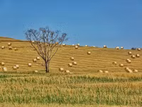 [ẢNH] Mãn nhãn bộ ảnh 1111 ngày vòng quanh thế giới bằng xe máy của Trần Đặng Đăng Khoa (P2)