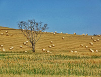 [ẢNH] Mãn nhãn bộ ảnh 1111 ngày vòng quanh thế giới bằng xe máy của Trần Đặng Đăng Khoa (P2)