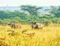 [ẢNH] Mãn nhãn bộ ảnh 1111 ngày vòng quanh thế giới bằng xe máy của Trần Đặng Đăng Khoa (P2)