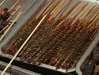 [ẢNH] Những đặc sản 