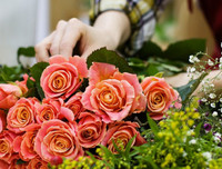 [ẢNH] Nguồn gốc và ý nghĩa của ngày nhà giáo Việt Nam 20-11