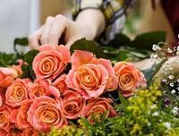 [ẢNH] Nguồn gốc và ý nghĩa của ngày nhà giáo Việt Nam 20-11