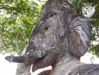 [Ảnh] Kỳ bí khu 