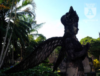 [Ảnh] Kỳ bí khu 