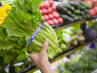 [ẢNH] Những thói quen xấu có thể gây hại cho mắt mà nhiều người mắc phải