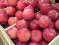 [ẢNH] Những loại quả đơn giản nhưng có giá đắt đỏ bậc nhất thế giới