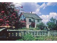 [ẢNH] Cận cảnh khu trung tâm Hòa Bình sắp bị phá bỏ của Đà Lạt xưa và nay