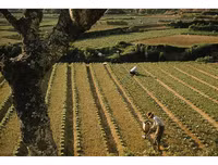 [ẢNH] Cận cảnh khu trung tâm Hòa Bình sắp bị phá bỏ của Đà Lạt xưa và nay