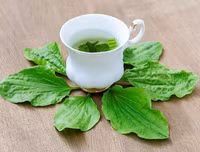 [ẢNH] Mát gan ngày hè (2): Thức uống thanh lọc gan hữu hiệu từ tự nhiên